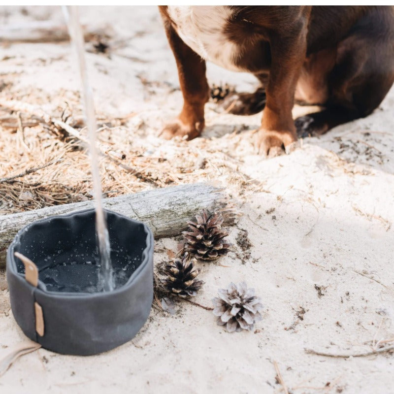 Foldable Waxed Food Tray Portable Pet Tableware Outdoor Pet Travel Canvas Dog Bowl