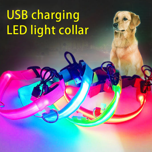 Led Pet Collar Glow Collar Pet Belt Mesh Rechargeable Neck Ring Usb Rechargeable Dog Cord Collar Battery