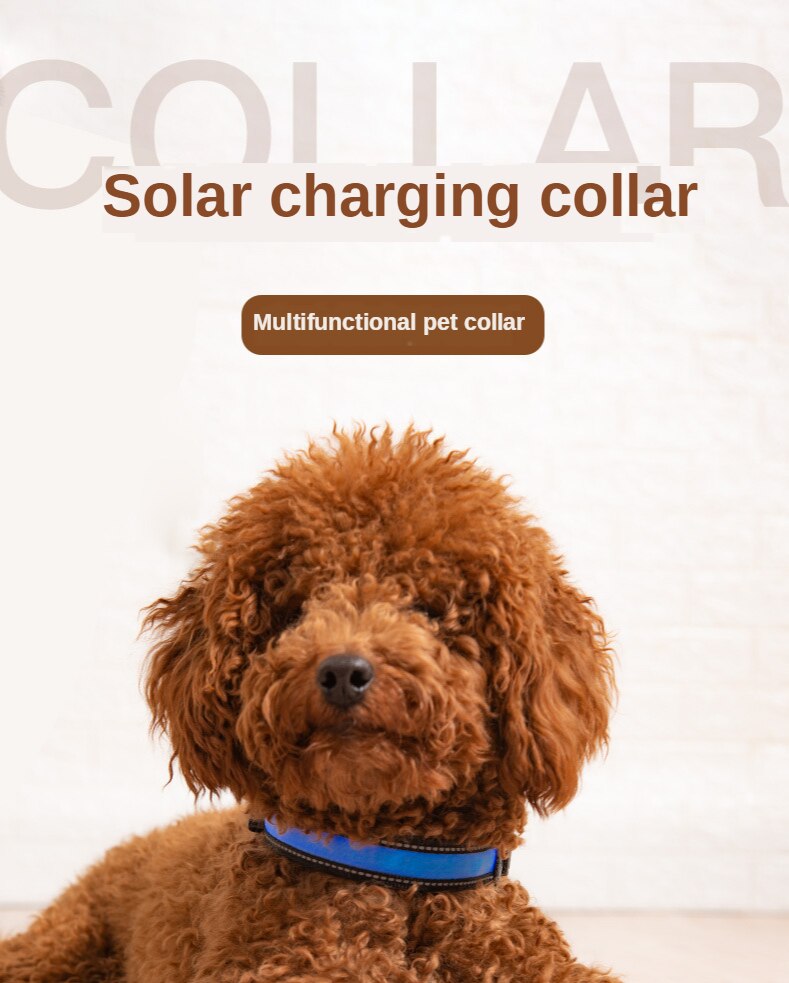 LED solar luminous collar charging flash collar Teddy luminous neck rope pet supplies dog collar accessories