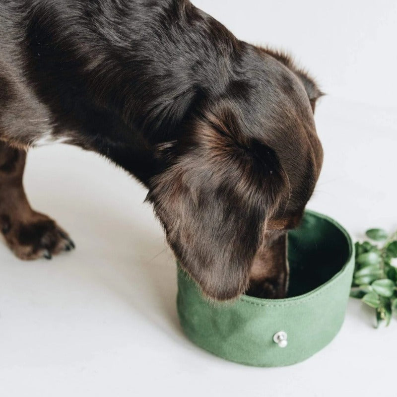 Foldable Waxed Food Tray Portable Pet Tableware Outdoor Pet Travel Canvas Dog Bowl