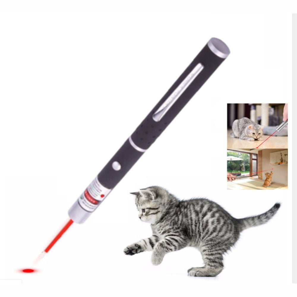 5MW LED Laser Pet Cat Toy Red Dot Light Sight 530Nm 405Nm 650Nm Interactive Laser Pen Pointer