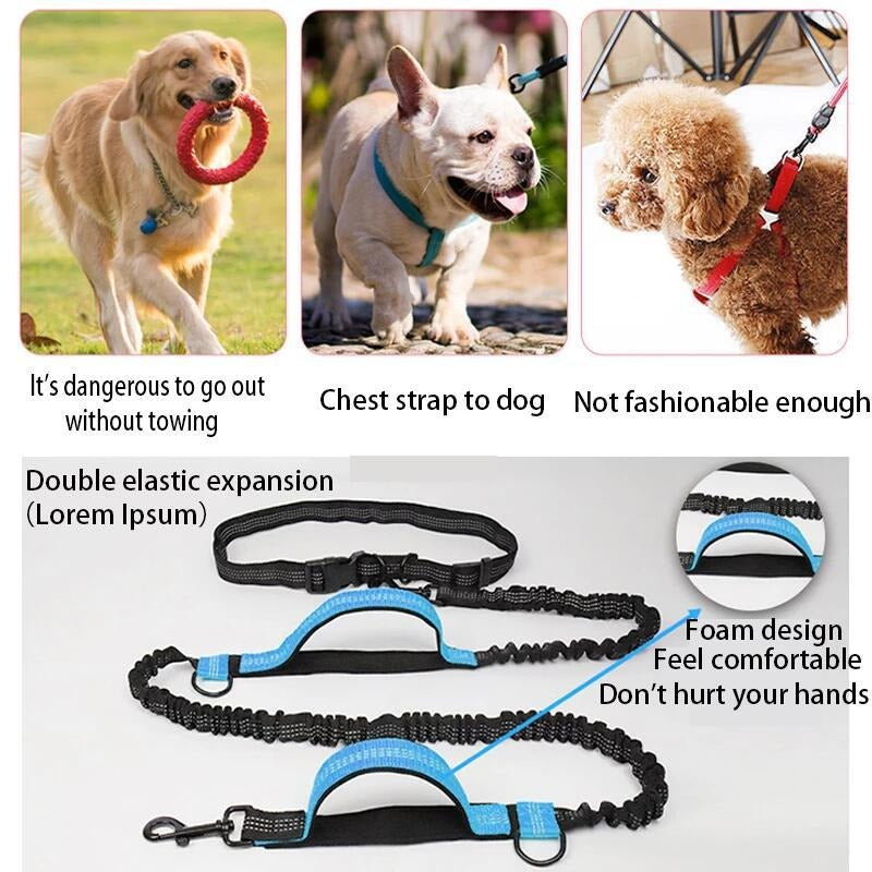 Dual Elastic Reflective Running Traction Rope Portable Retractable Dog Rope Dog Chain Traction Rope Pet Supplies