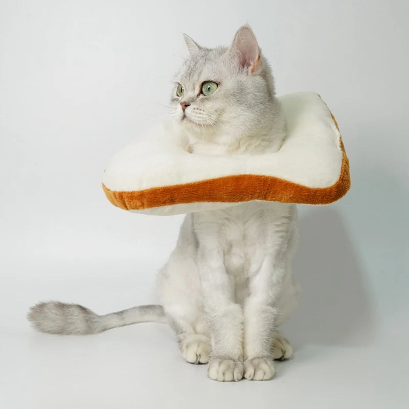 Pet Cat Headgear Toast Headgear