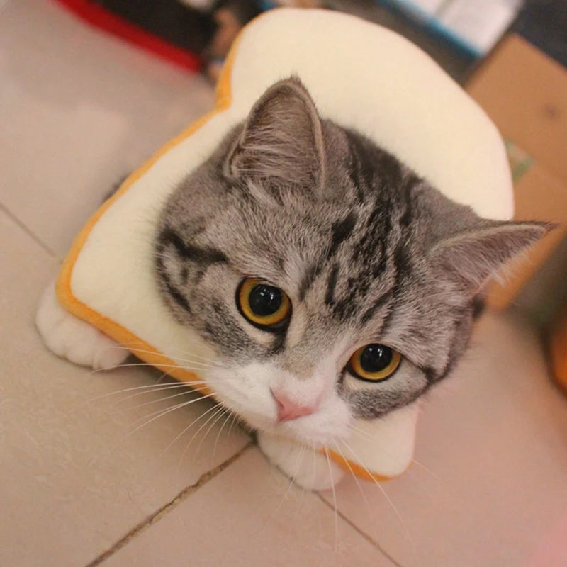 Pet Cat Headgear Toast Headgear